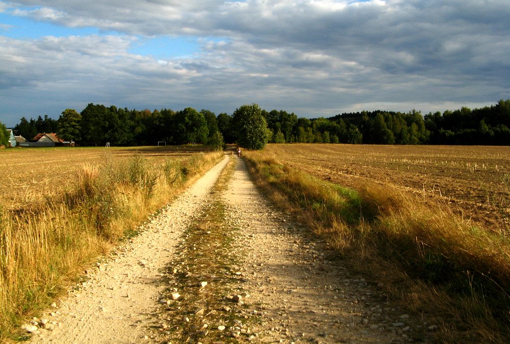 Cestou domů