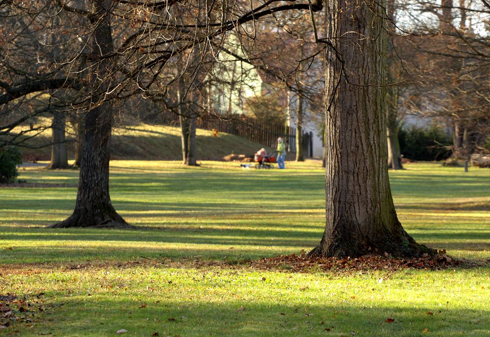 zámecký park Třeboň