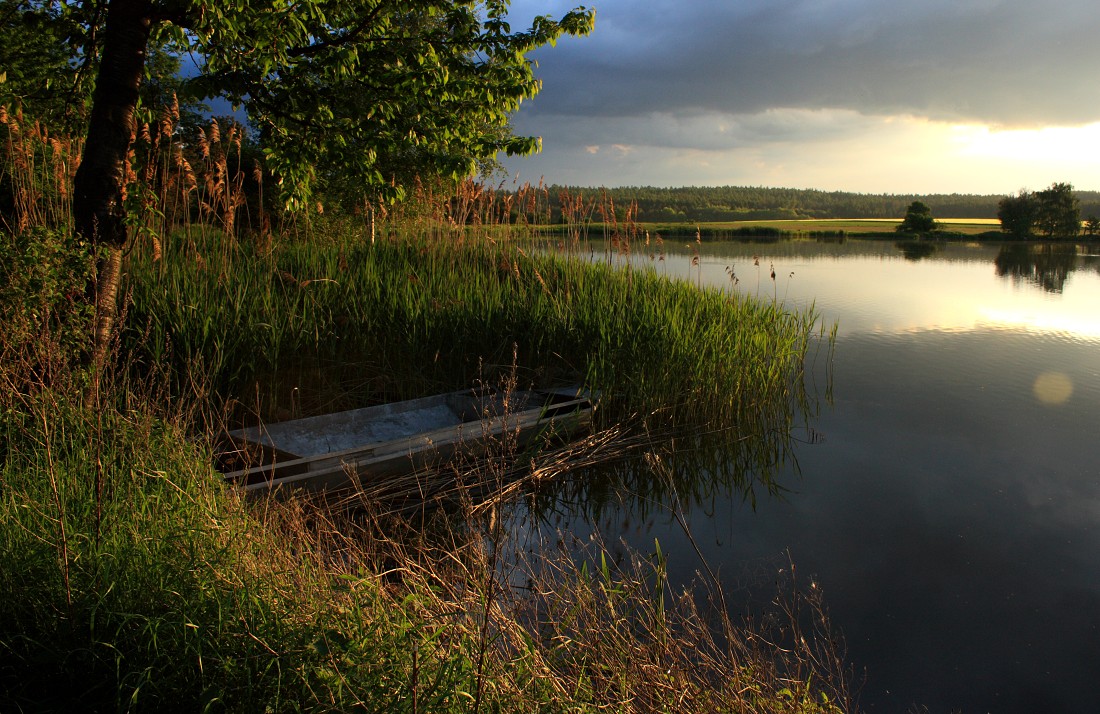 Novodvorák