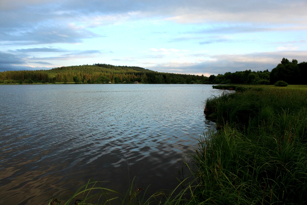 Olešná, Šumava